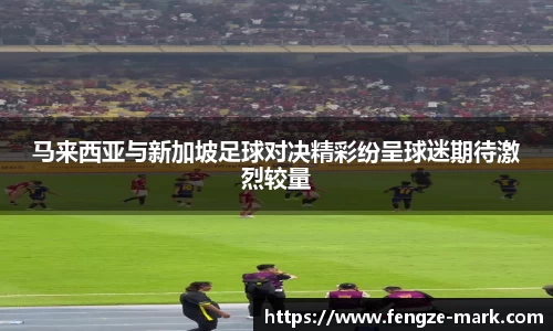 马来西亚与新加坡足球对决精彩纷呈球迷期待激烈较量