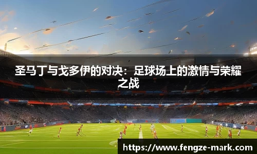 圣马丁与戈多伊的对决：足球场上的激情与荣耀之战
